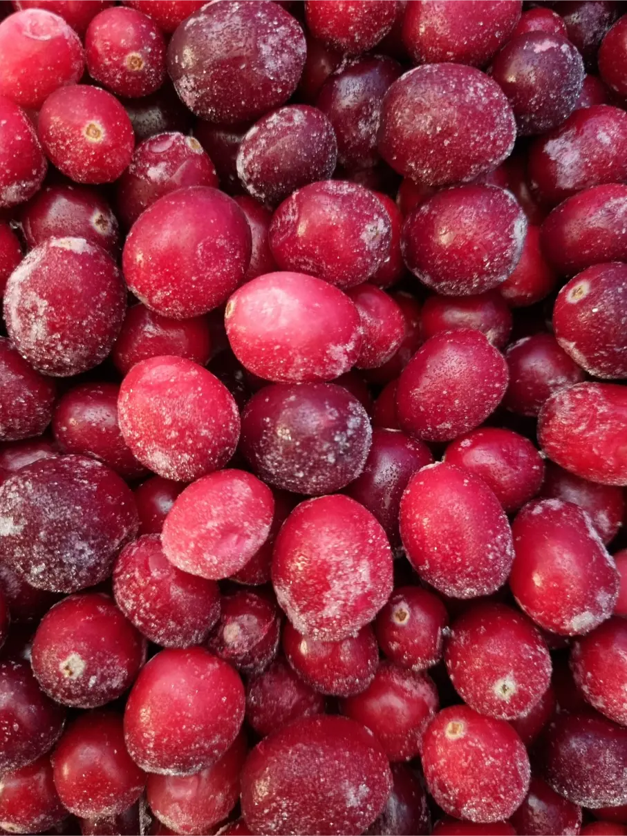Frozen big cranberries product photo